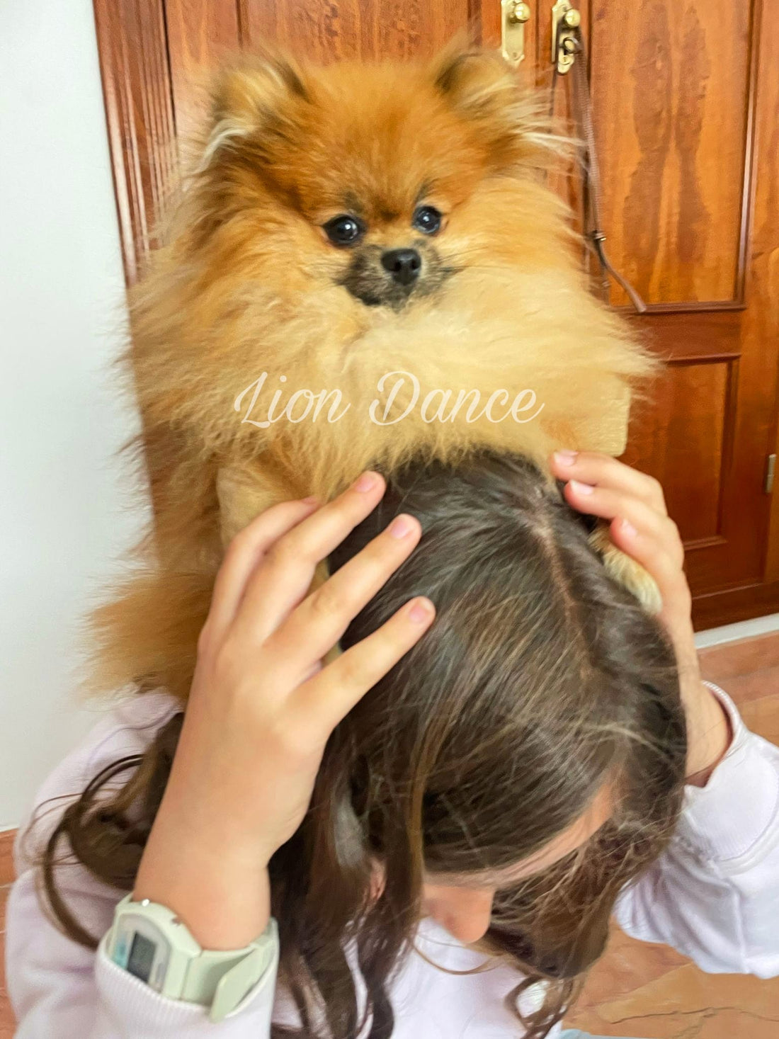 Lion Dance Zape vive en las Islas Canarias con Ramoni